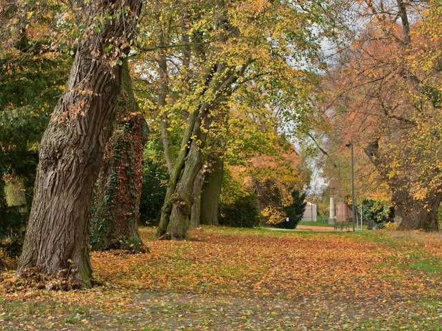 Zámecký park 10