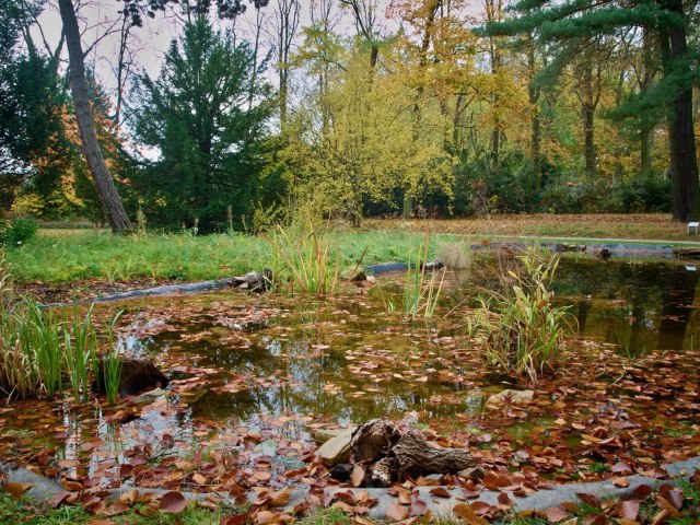 Zámecký park 11